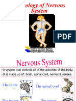 Physiology For Anesthesia