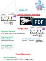 4 A - Respiration