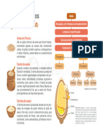 151 Diferença Entre Os Tipos de Aveia