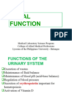 1 Renal Function - 20