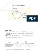 Amino Acids and Protein