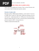 Amino Acid: Structure and Classification