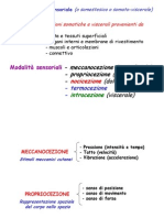 1 - Sensibilità Somestesica