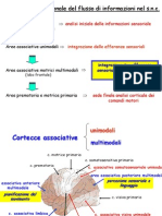 14 - Linguaggio