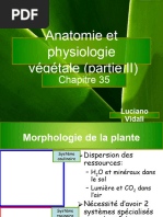 11 Anatomie Et Physiologie Végétale Partie 2