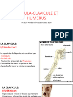 02 - Clav-Scap-Humerus