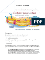 Membrane Plasmique