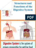 Module 1 DIGESTIVE SYSTEM