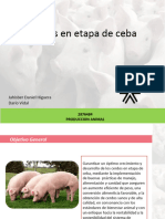 Proyecto Cerdos Ceba