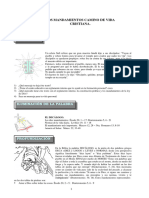 Tema 2 Mandamientos.