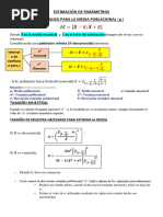 Estimación de La Media y Tamaño - 2024