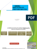 Pathologies Et Entretien Des Routes PDF