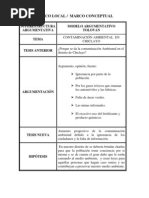 Ensayo Contaminación Ambiental