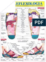 Mapa Reflexologia