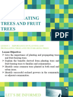 Lesson 1 Importance of Planting and Propagating Trees and Fruit-Bearing Trees