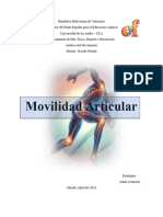 Movilidad Articular