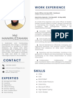 Manir Vi CV