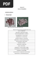 Population Genetics Individual Output Vince Lorenz C. Abante