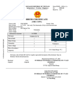 Birth Certificate - Ngo Minh