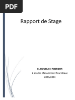 Rapport de Stage PDF