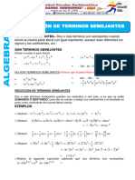 Reduccion-de-Terminos-Semejantes-5TO - 2024