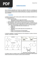 Tema. Bioquimica Acidos Nucleicos