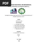 Informe de Laboratorio: "Extracción de Adn de Un Plátano"