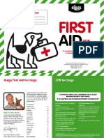 4legs First Aid Brochure