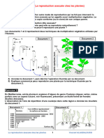 La Reproduction Asexuee Chez Les Plantes Serie D Exercices 1