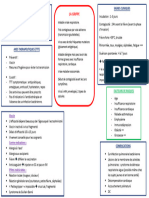 Carte Mentale GRIPPE