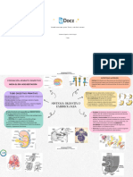 Mapa Mental Clase 1 541399 Downloadable 5605580