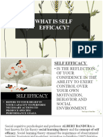 Self Efficacy 0