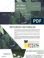 Recursos Naturales (Grupo03)