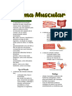 Resumo Sistema Muscular