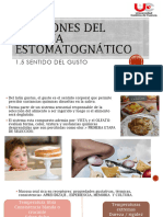 1.5 Funciones Del Sistema Estomatognático Sentido Del Gusto