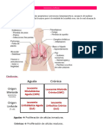 Leucemias y Linfoma