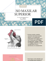 Hueso Maxilar Superior