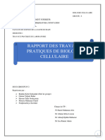 Rapport Du TP de BIO CELL