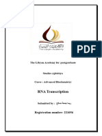 RNA Transcription