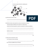 Science - Stage 8 Revision Exercise