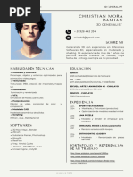 Cv-Christian A. Mora Damian