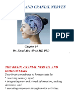 14 The BRAIN and Cranial Nerves - 043833