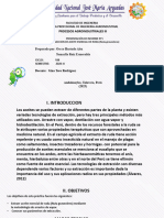 Primer Informe Extraccion de Aceite de Ruda