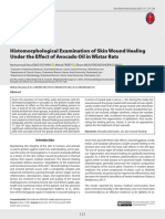 Histomorphological Examination of Skin Wound Healing Under The Effect of Avocado Oil in Wistar Rats