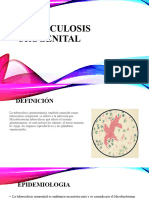 Tuberculosis Urogenital