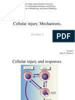 Mechanisms of Cell Injury