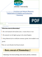 Presentation Mammalogy-2022-1