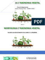 Aula Teórica - Tecidos de Revestimento Do Corpo 1º - Epiderme - Periderme