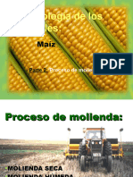 Molienda Seca