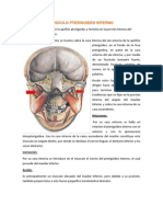 Musculos de La Masticacion